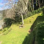 Furnas Lake Cottage Furnas (Azores)