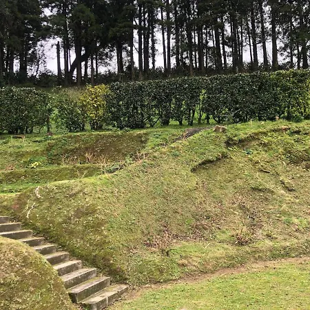 Furnas Lake Cottage * Furnas (Azores)